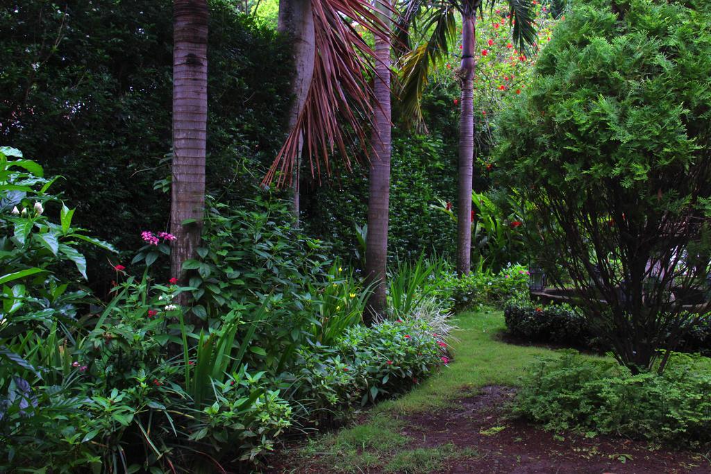 Hotel Boutique Villa Maya Managua Exterior photo