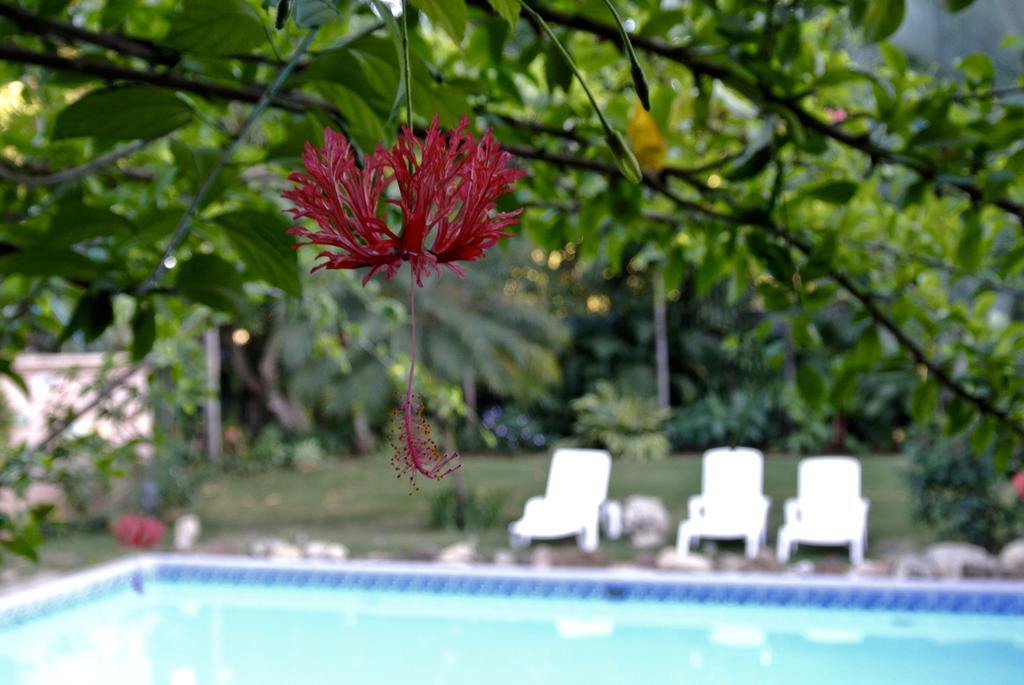 Hotel Boutique Villa Maya Managua Exterior photo